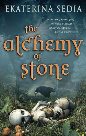 Cover of the book The Alchemy of Stone by Pear Nuallak, Stephen Graham Jones, Cassandra Khaw, V.H. Leslie