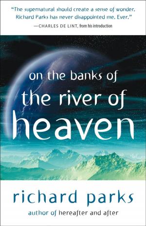 Cover of the book On the Banks of the River of Heaven by Rachel Swirsky, Sean Wallace