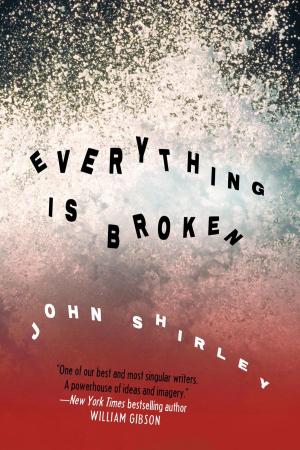 Cover of the book Everything is Broken by Rich Horton