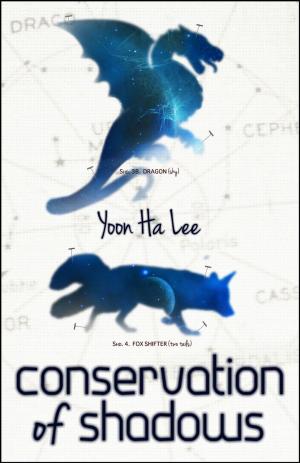 Cover of the book Conservation of Shadows by Kristi DeMeester, Steve Rasnic Tem, Rhonda Eikamp, Gemma Files