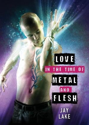 Cover of the book Love in the Time of Metal and Flesh by David Drake, Bill Fawcett