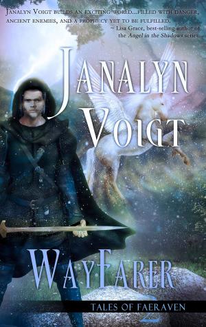 Cover of the book Wayfarer by Candice Sue Patterson