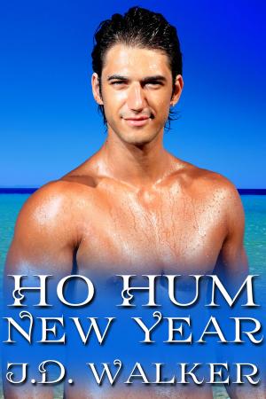 Cover of the book Ho Hum New Year by J.M. Snyder