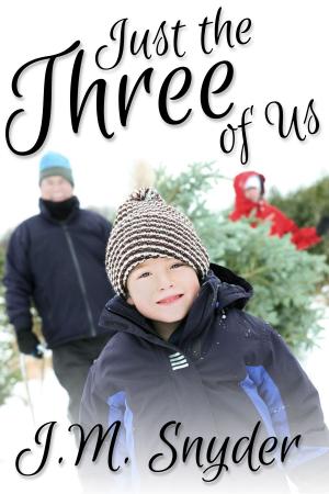 Cover of the book Just the Three of Us by J.D. Walker