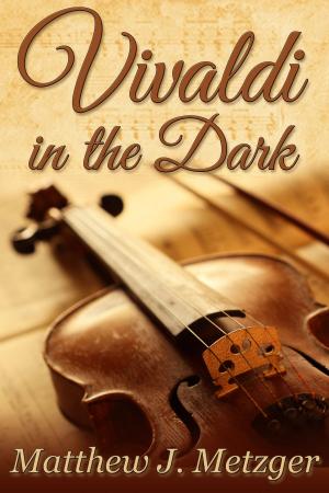 Cover of the book Vivaldi in the Dark by N.D. Jones