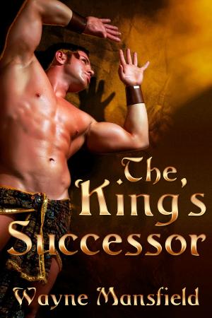 Cover of the book The King's Successor by A.R. Moler