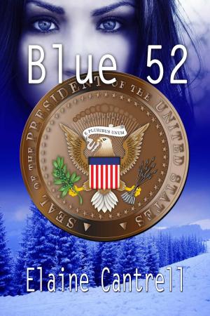 Cover of the book Blue 52 by Nancy-Gail Burns