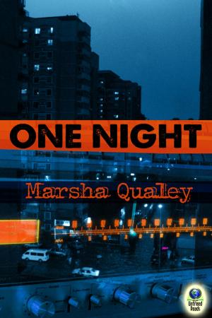 Cover of the book One Night by Jack Ewing