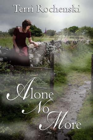 Cover of the book Alone No More by Christine  Bush