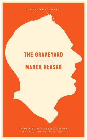 Cover of the book The Graveyard by Didier Daeninckx