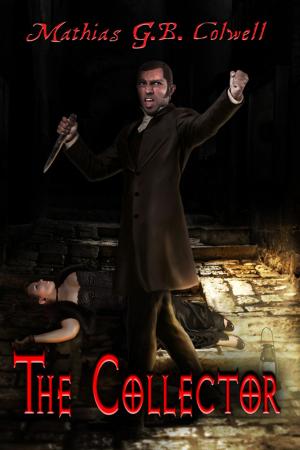 Cover of the book The Collector by J. S. Volpe
