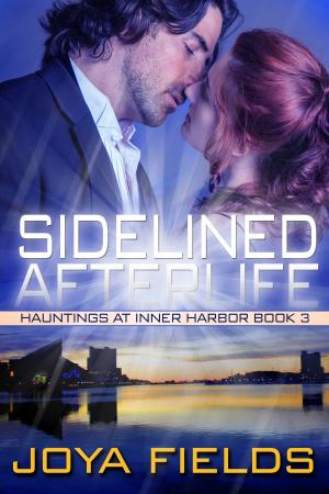 Cover of the book Sidelined Afterlife by Cassandra Dean