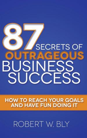 Cover of 87 Secrets of Outrageous Business Success