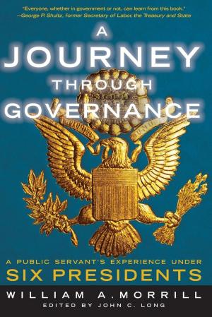 Cover of the book A Journey through Governance by Vera Srbinović