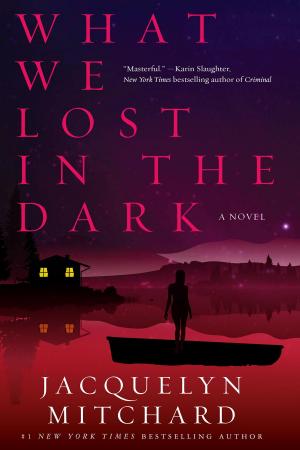 Cover of the book What We Lost in the Dark by Ed Lin