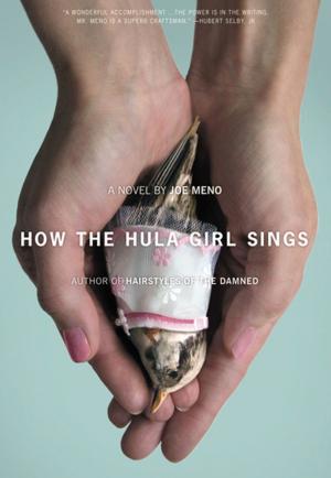 Cover of the book How the Hula Girl Sings by Chris Abani