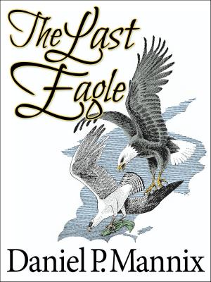 Book cover of The Last Eagle
