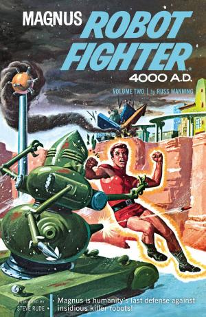 Cover of Magnus, Robot Fighter Archives Volume 2