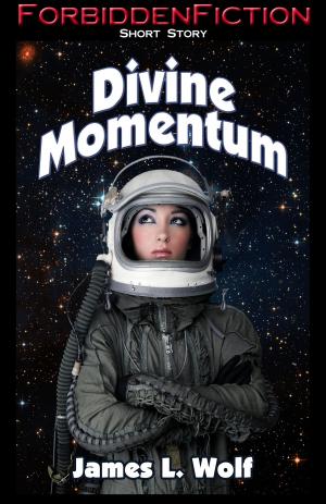 Cover of the book Divine Momentum by Jacqueline Brocker