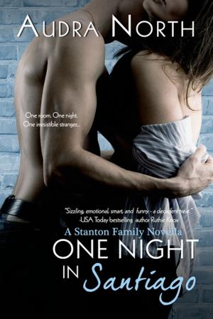 Cover of the book One Night in Santiago by Cate Cameron