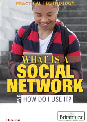 Cover of the book What Is a Social Network and How Do I Use It? by Kenneth Pletcher