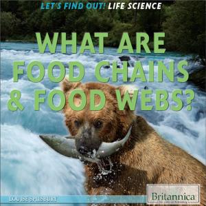 Cover of the book What Are Food Chains & Food Webs? by Therese Shea
