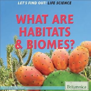 Cover of the book What Are Habitats & Biomes? by Nicholas Faulkner