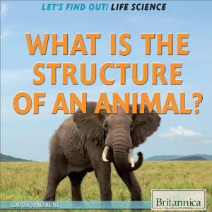 Cover of the book What Is the Structure of an Animal? by Kristina Lyn Heitkamp