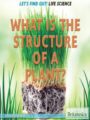 Cover of the book What Is the Structure of a Plant? by Amy McKenna