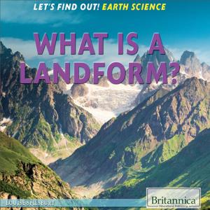 Cover of the book What Is a Landform? by Nicholas Croce