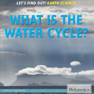 Cover of the book What Is the Water Cycle? by Melissa  Landon