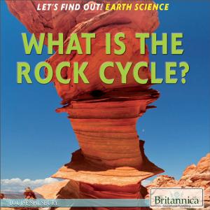 Cover of the book What Is the Rock Cycle? by Jeff Wallenfeldt