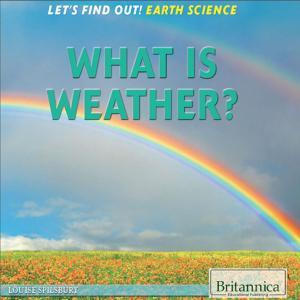 Cover of the book What Is Weather? by Nicholas Croce