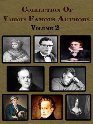 Book cover of Collection Of Various Famous Authors Volume 2