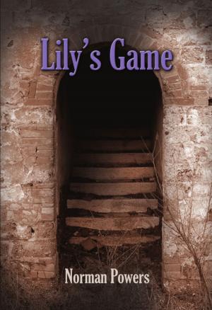 Cover of the book LILY'S GAME by D.N. Erikson