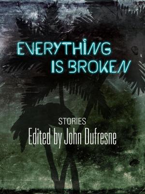 Cover of the book Everything Is Broken by John Cuando