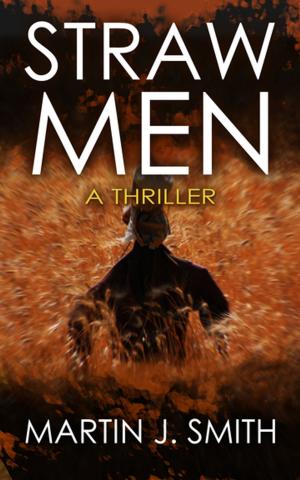 Cover of the book Straw Men by Amber Rochelle Gillet