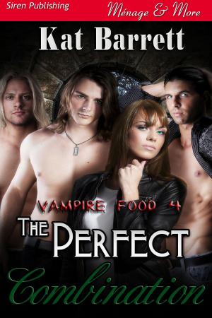 Cover of the book The Perfect Combination by Zephyr Marteen