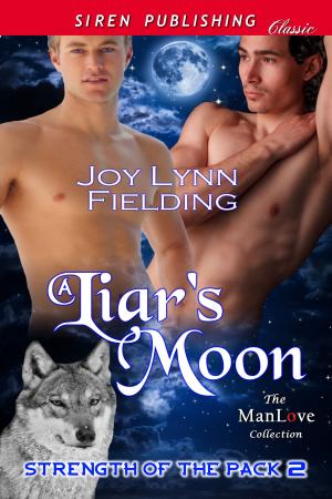 Cover of the book A Liar's Moon by Wendi Darlin