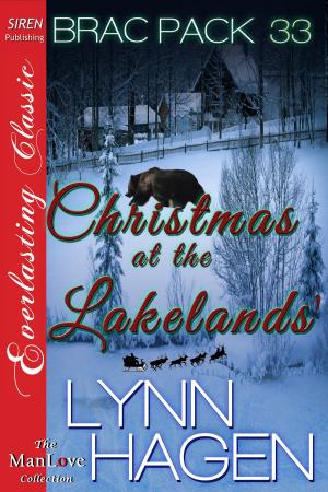 Cover of the book Christmas at the Lakelands' by Melody Snow Monroe
