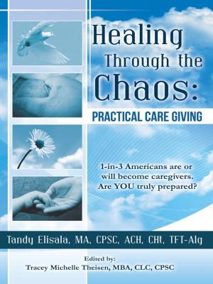 Cover of the book Healing Through the Chaos by Luke Caldwell