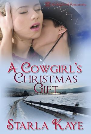 Book cover of A Cowgirl's Christmas Gift