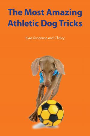 Book cover of The Most Amazing Athletic Dog Tricks