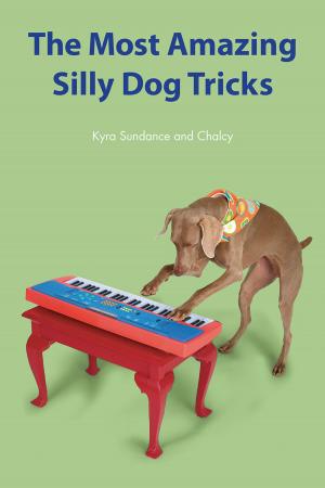 Book cover of The Most Amazing Silly Dog Tricks