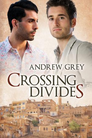 Cover of the book Crossing Divides by BA Tortuga