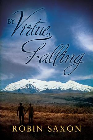 Cover of the book By Virtue, Falling by Raine O'Tierney