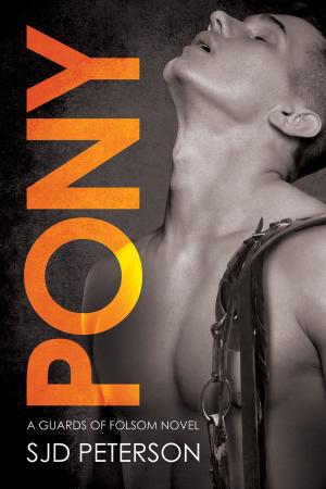 Book cover of Pony