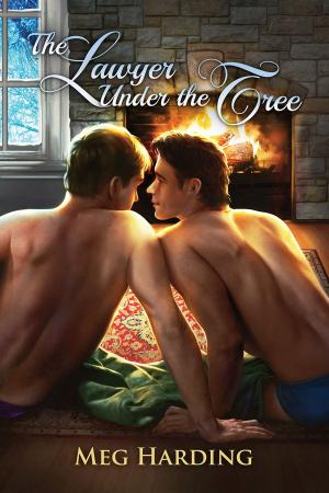Book cover of The Lawyer Under the Tree