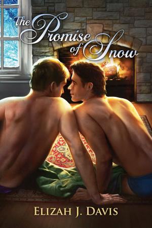 Cover of the book The Promise of Snow by j. leigh bailey