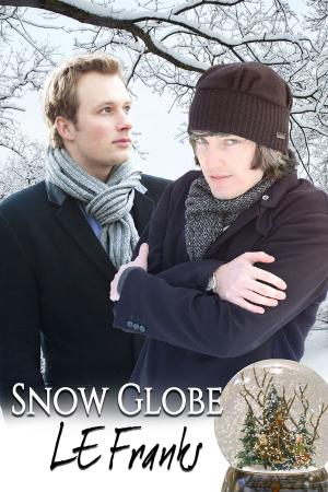 Cover of the book Snow Globe by P.D. Singer